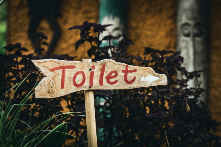 Statement der GRÜNEN Kreistagsfraktion zu fehlenden Toiletten für Busfahrer*innen im Landkreis Augsburg